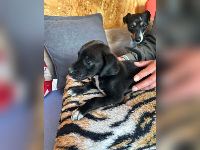 Kleine Grace sucht ihr großes Glück ❤