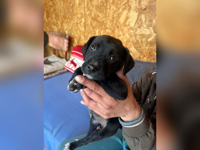 Kleine Grace sucht ihr großes Glück ❤