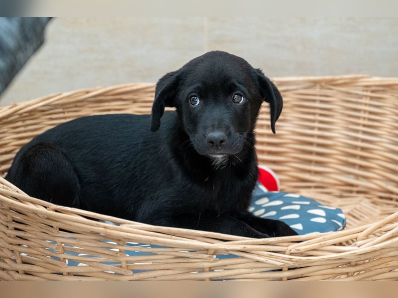 Caleb – ein kleiner Entdecker auf der Suche nach seinem Glück ❤️