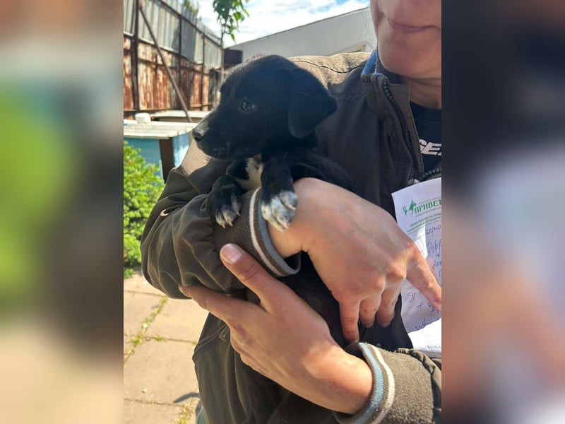 Kleine Grace sucht ihr großes Glück ❤