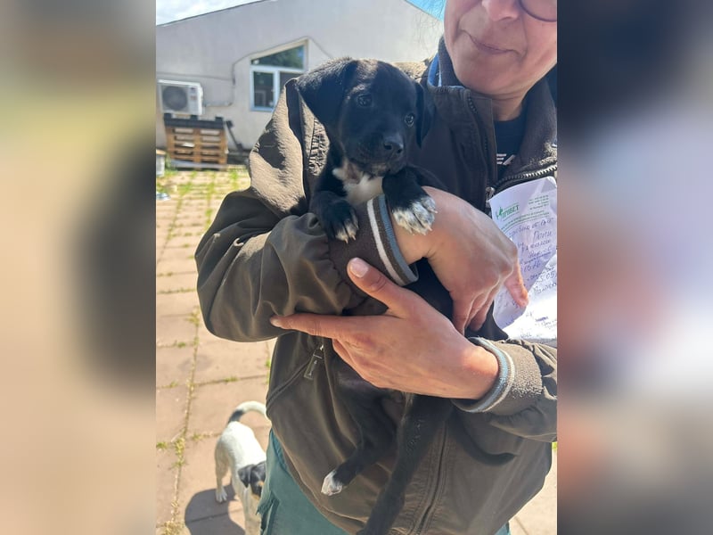 Kleine Grace sucht ihr großes Glück ❤
