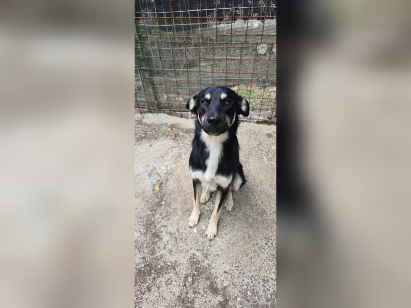 Igor sucht seine Menschen