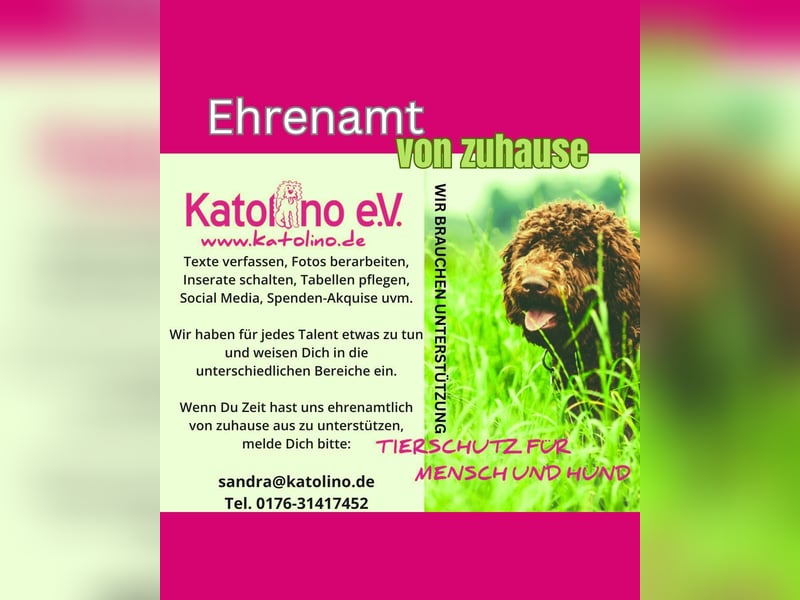 Ehrenamtliche Helfer gesucht!