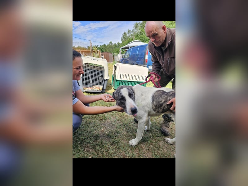 Diablo sucht seinen Garten