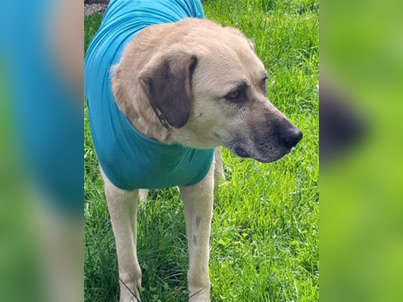 Chum *Paten gesucht*