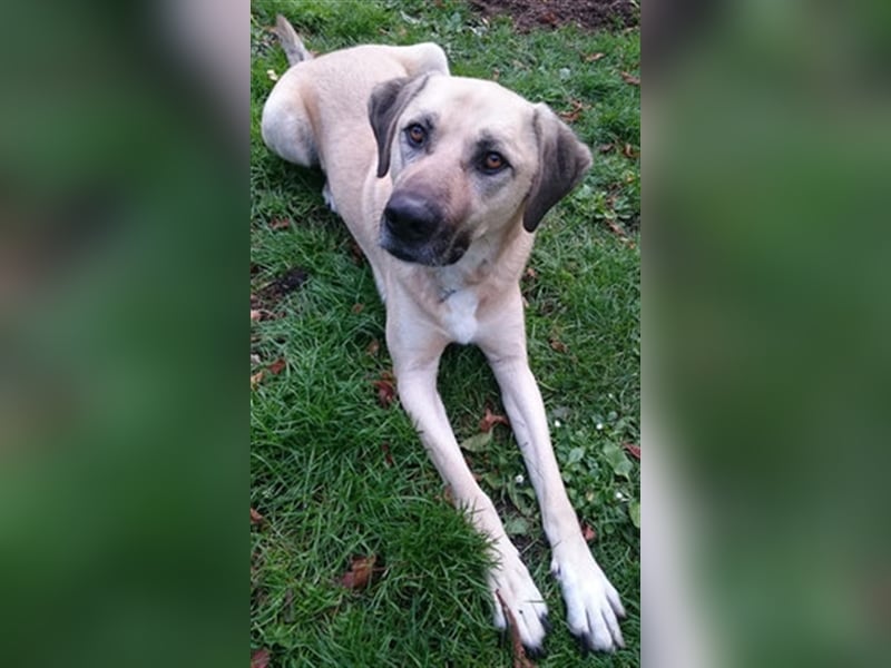 Chum *Paten gesucht*