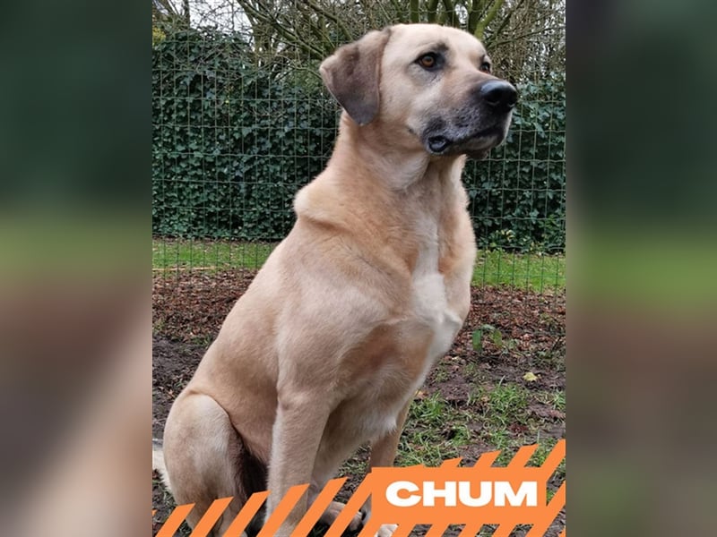 Chum *Paten gesucht*