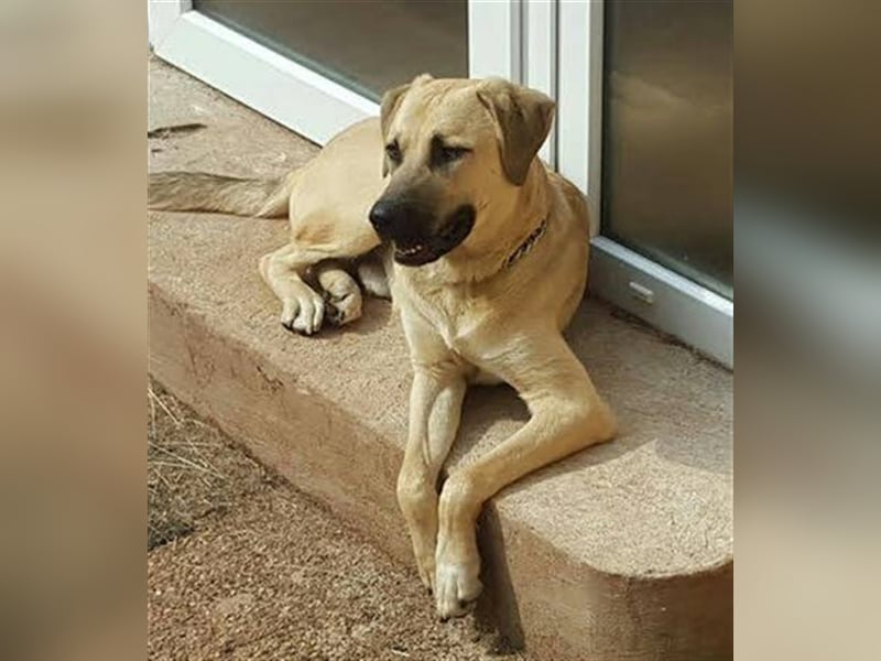 Chum *Paten gesucht*