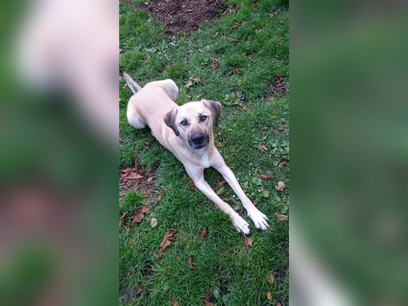 Chum *Paten gesucht*