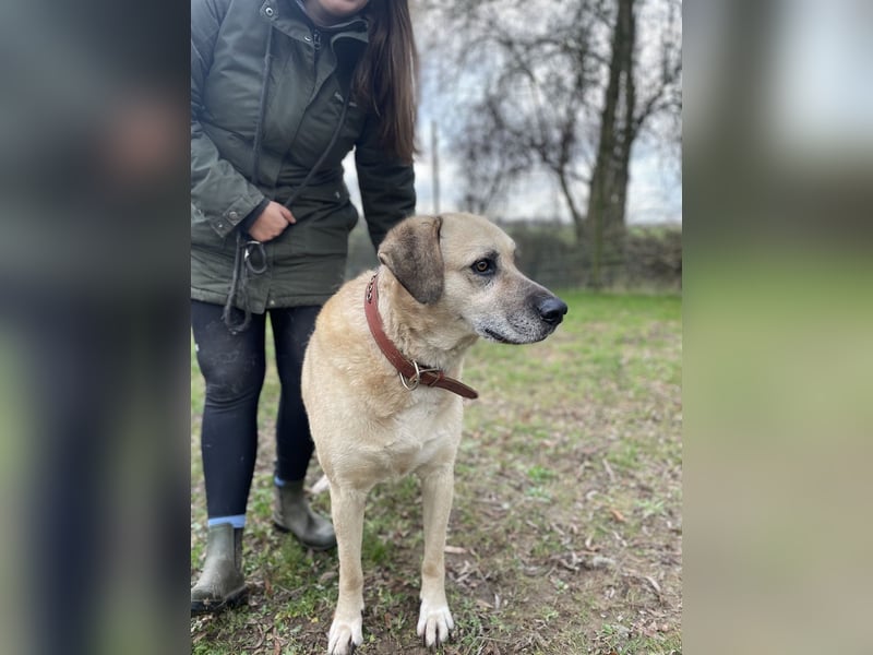 Chum *Paten gesucht*