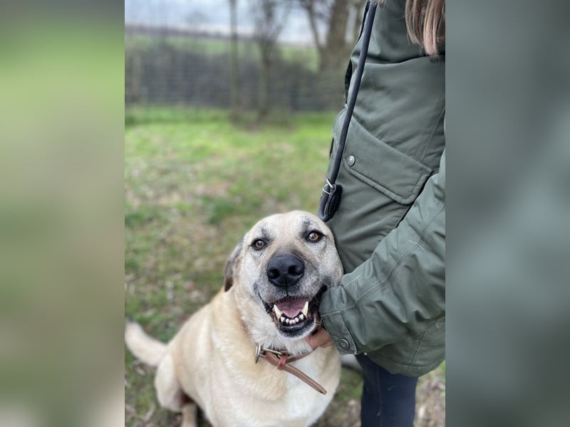 Chum *Paten gesucht*