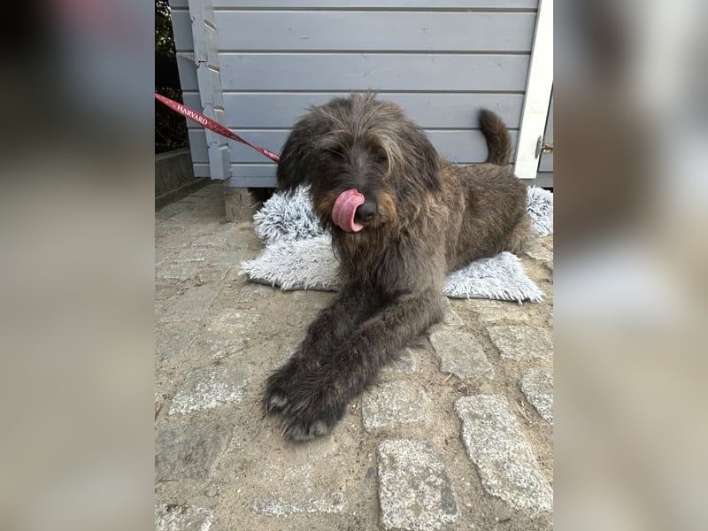 Ruppert: Ein wahrer Charmeur