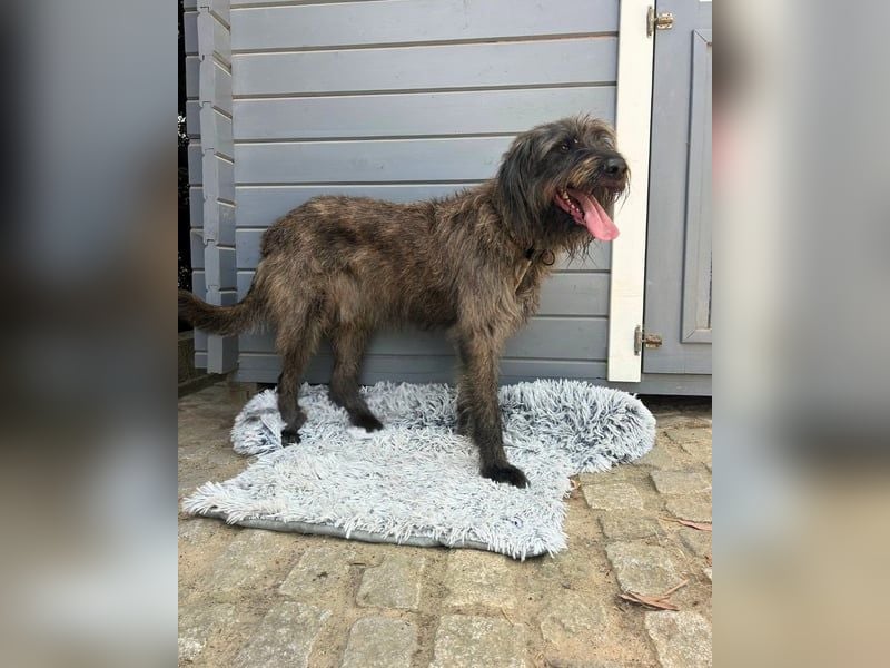 Ruppert: Ein wahrer Charmeur