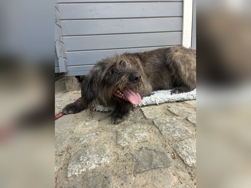 Ruppert: Ein wahrer Charmeur