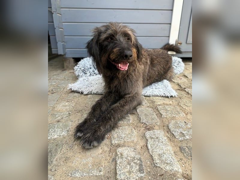 Ruppert: Ein wahrer Charmeur