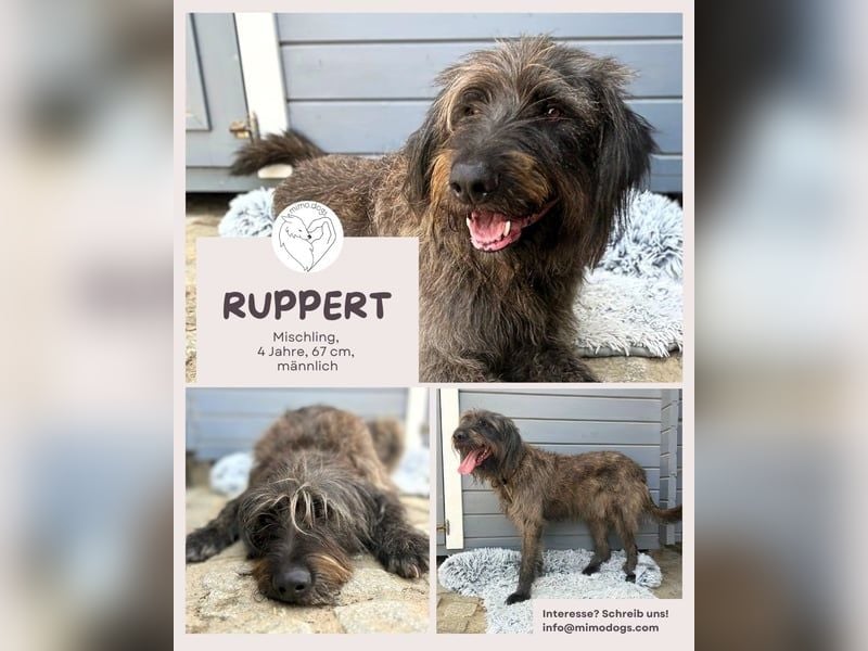 Ruppert: Ein wahrer Charmeur