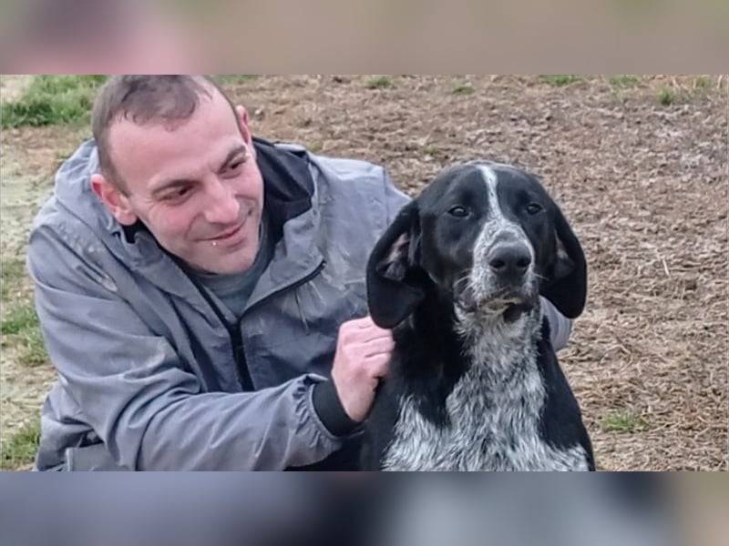 CARMELA-Lebensfreude auf 4 Pfoten-lebensfroh, sozial versteht sich bestens mit Mensch und Hund