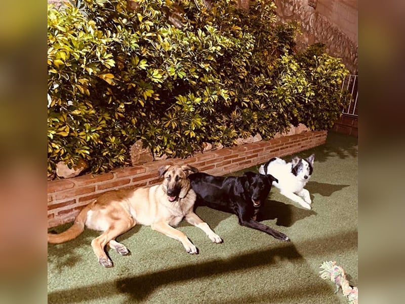 Gerardito - Unser kleiner “Großer” mit dem Herz aus Gold!