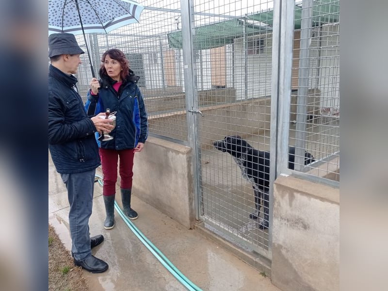 CARMELA-Lebensfreude auf 4 Pfoten-lebensfroh, sozial versteht sich bestens mit Mensch und Hund