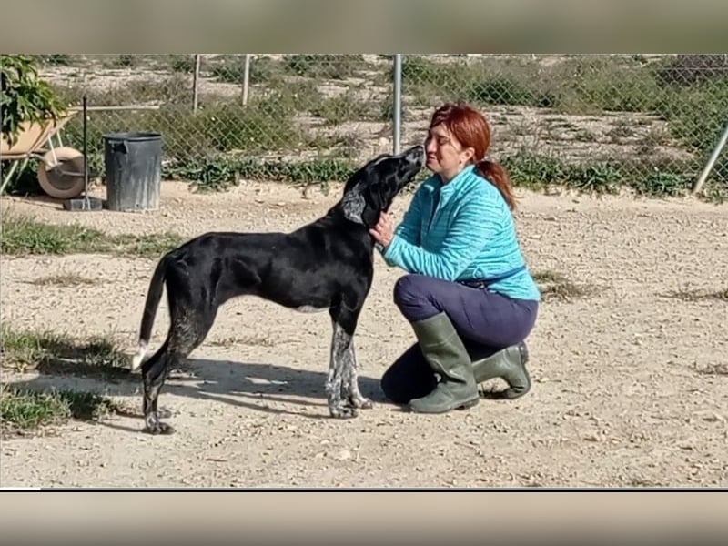CARMELA-Lebensfreude auf 4 Pfoten-lebensfroh, sozial versteht sich bestens mit Mensch und Hund