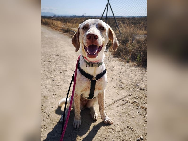 ❤️ BLANQUITA ❤️