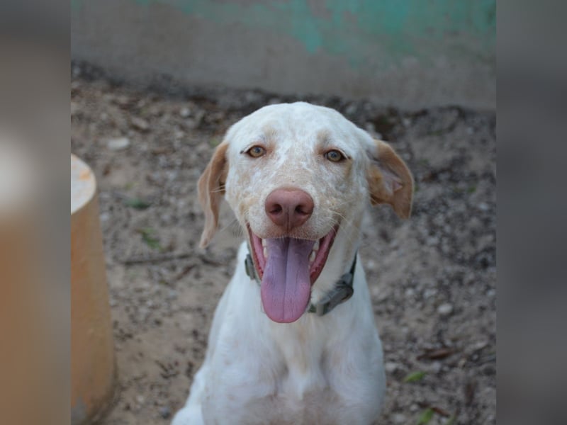 ❤️ BLANQUITA ❤️