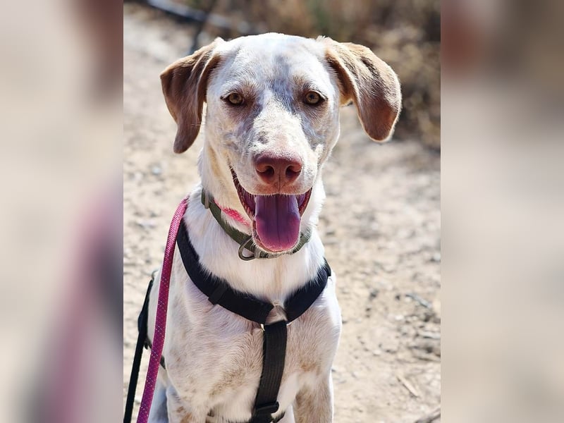 ❤️ BLANQUITA ❤️