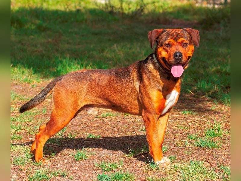 ❤️ GARCIA ❤️