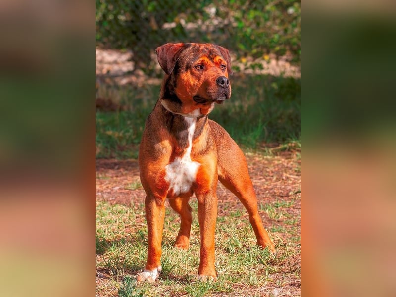 ❤️ GARCIA ❤️