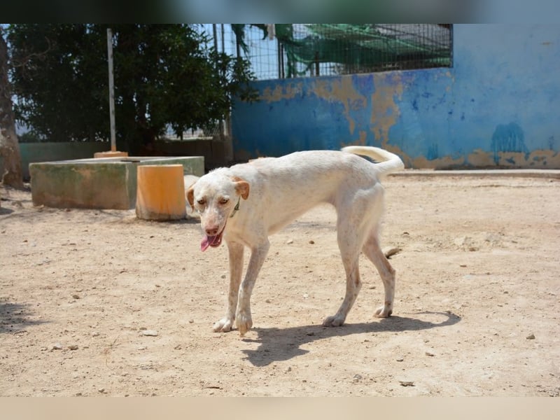 ❤️ BLANQUITA ❤️