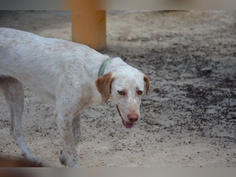 ❤️ BLANQUITA ❤️