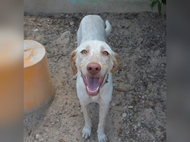 ❤️ BLANQUITA ❤️