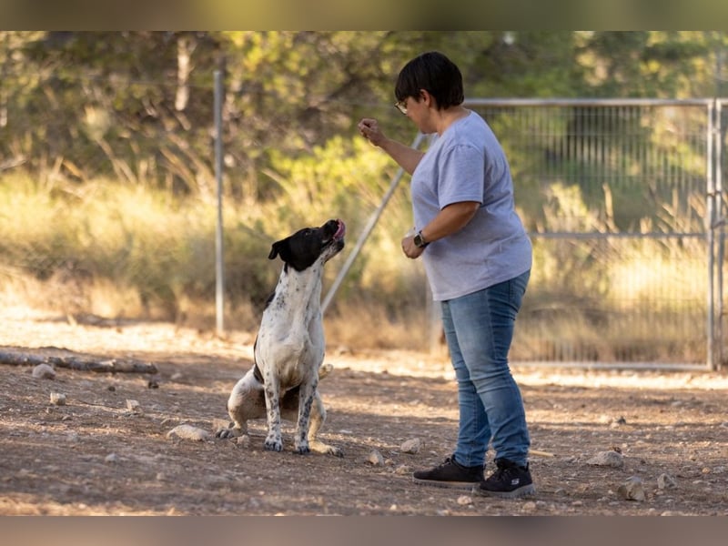 ❤️ BARTOLO❤️