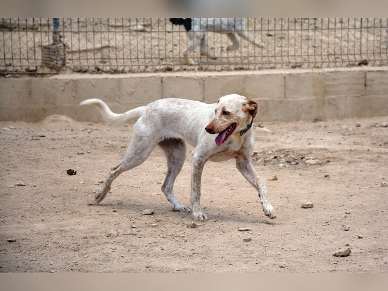 ❤️ BLANQUITA ❤️