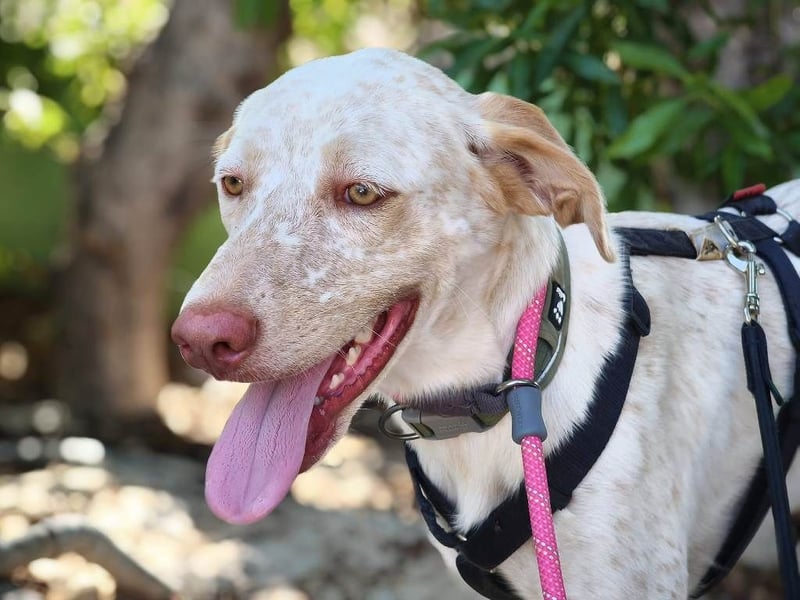 ❤️ BLANQUITA ❤️