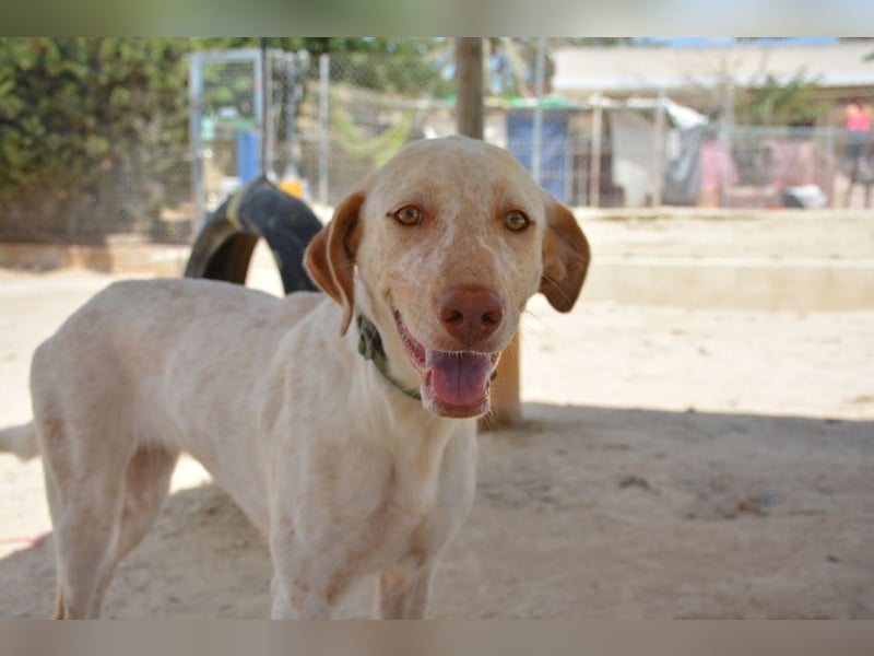 ❤️ BLANQUITA ❤️