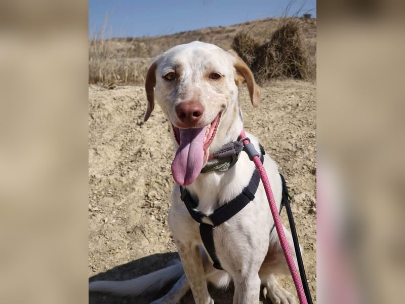 ❤️ BLANQUITA ❤️