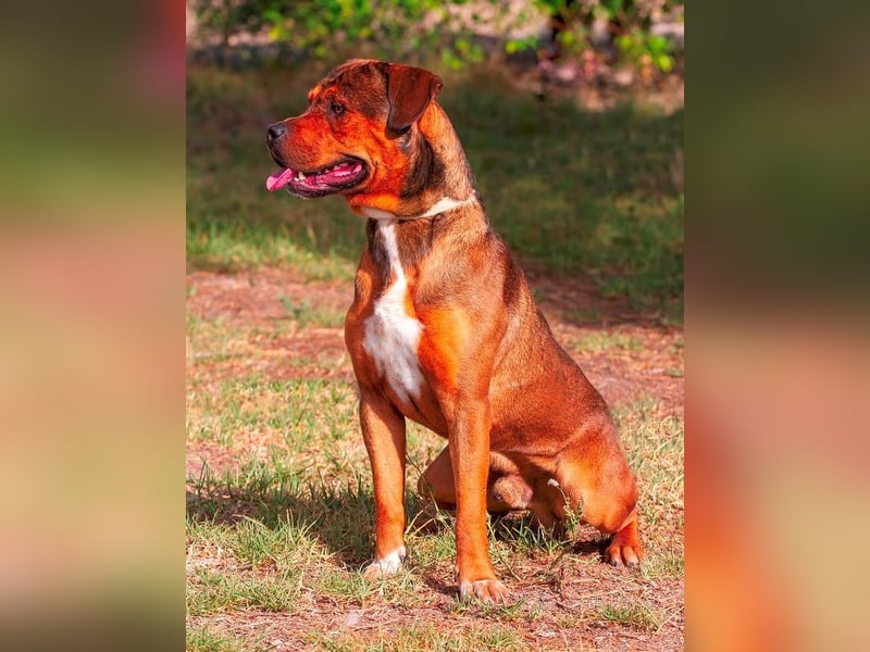 ❤️ GARCIA ❤️