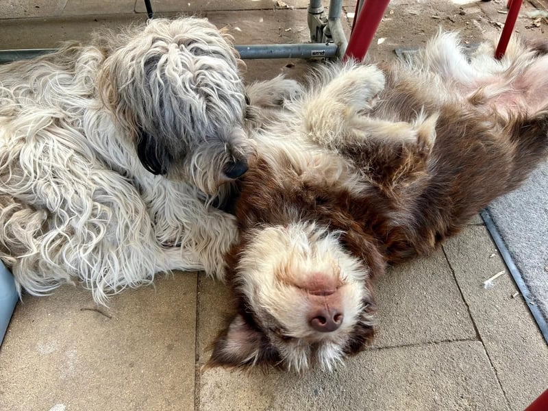 Red - Notfall - Raum Frankfurt  a.Main