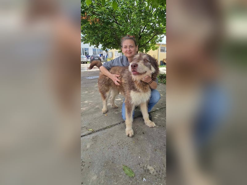 Red - Notfall - Raum Frankfurt  a.Main