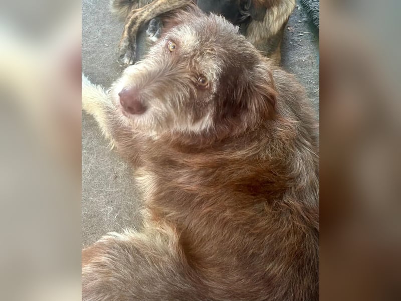 Red - Notfall - Raum Frankfurt  a.Main