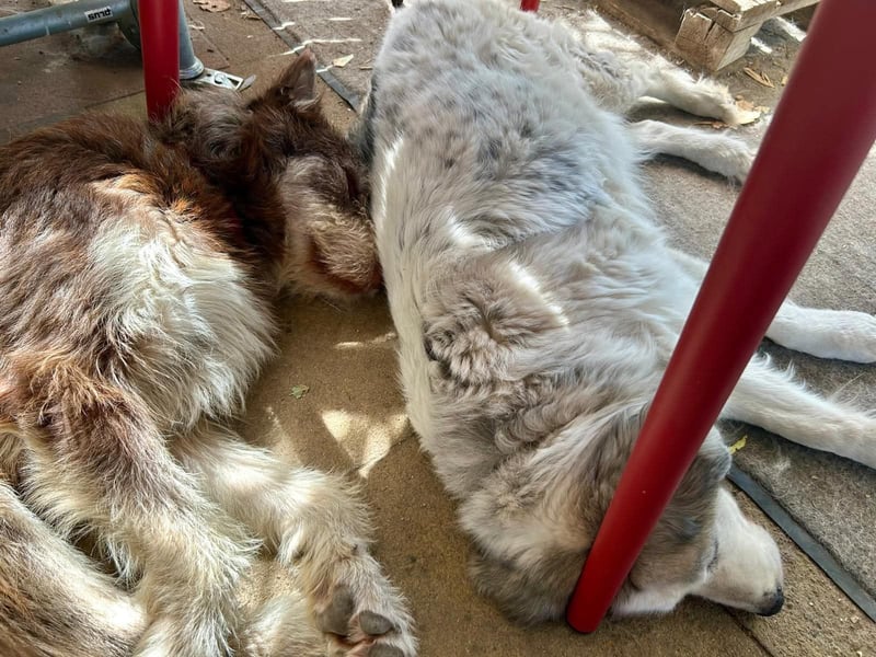 Red - Notfall - Raum Frankfurt  a.Main