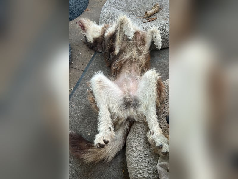 Red - Notfall - Raum Frankfurt  a.Main