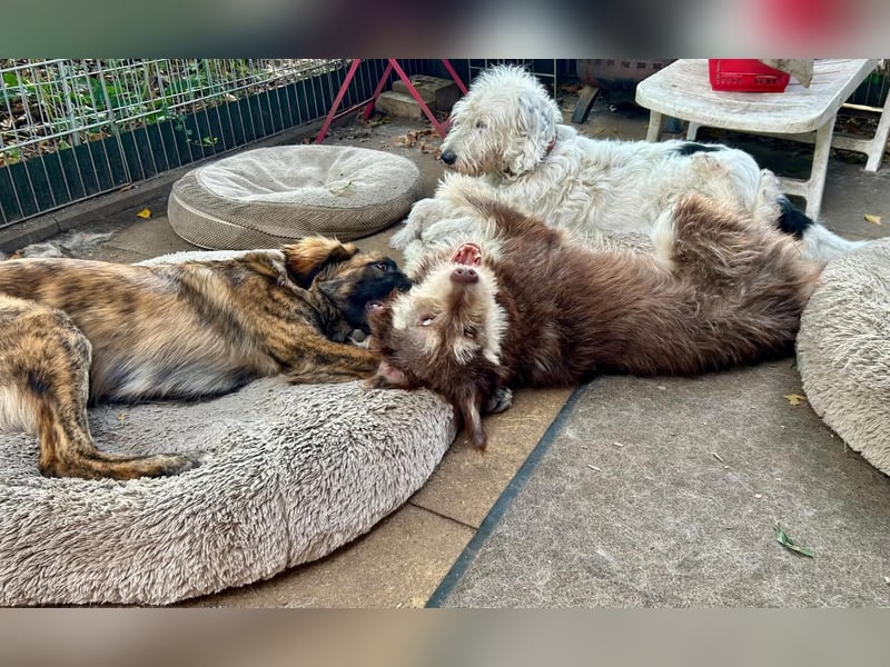 Red - Notfall - Raum Frankfurt  a.Main