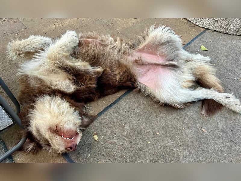 Red - Notfall - Raum Frankfurt  a.Main