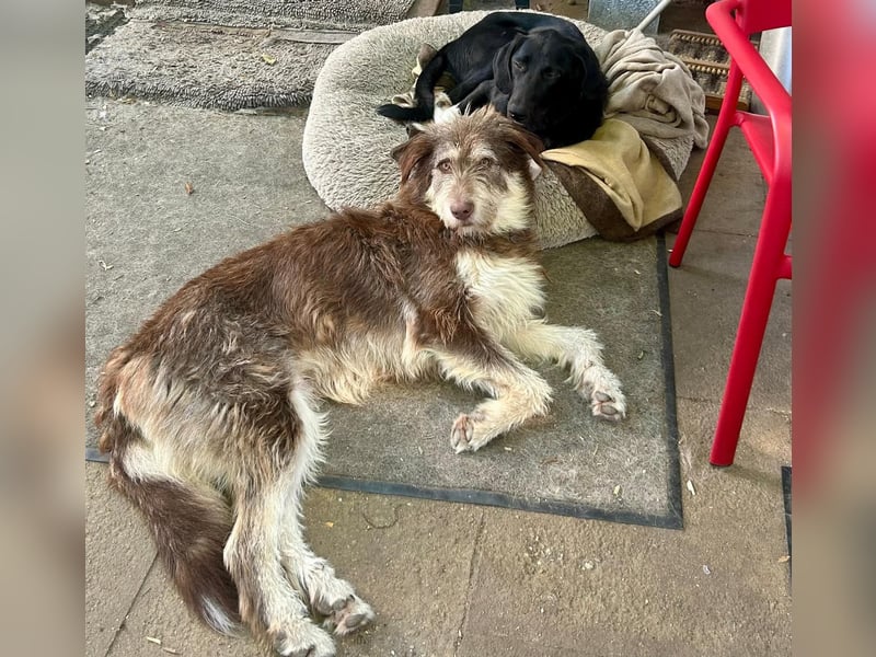 Red - Notfall - Raum Frankfurt  a.Main