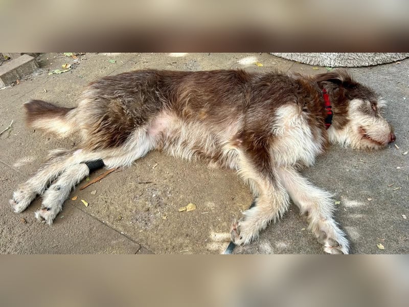 Red - Notfall - Raum Frankfurt  a.Main