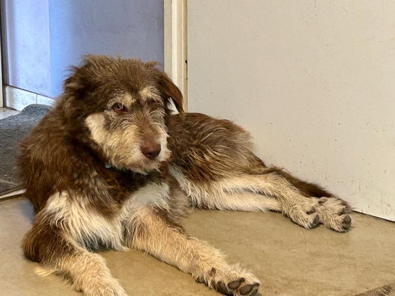 Red - Notfall - Raum Frankfurt  a.Main