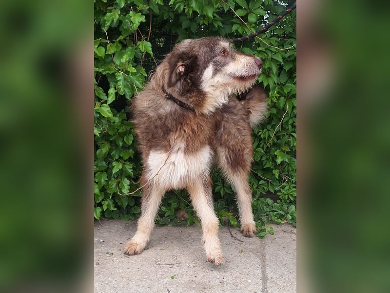 Red - Notfall - Raum Frankfurt  a.Main