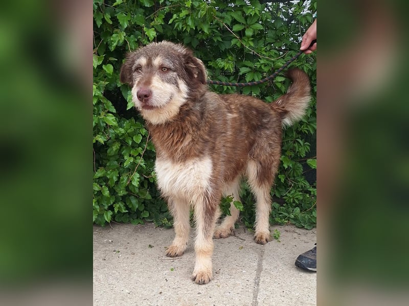 Red - Notfall - Raum Frankfurt  a.Main